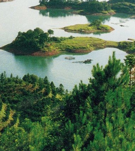 粉象生活不推广行不行