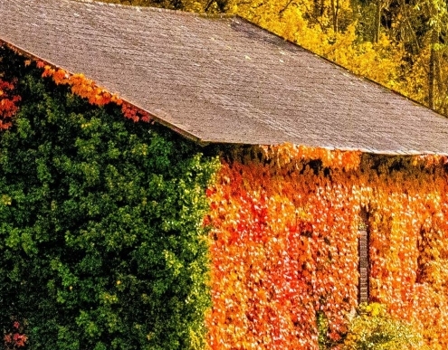 粉象生活下载app