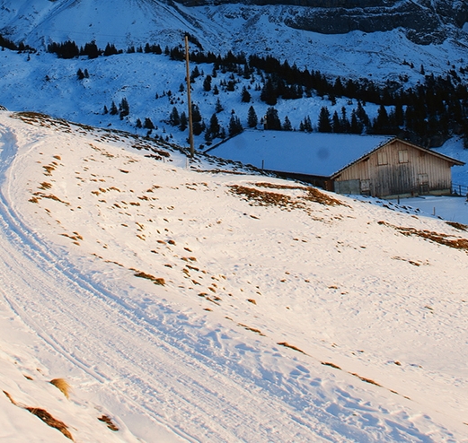 粉象生活加盟注册要求