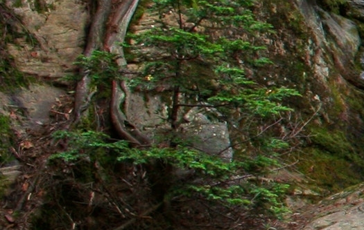 粉象生活怎样解除邀请人