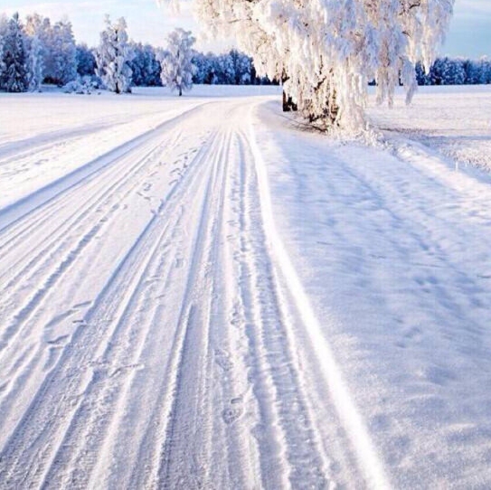 杭州粉象生活公司怎么样