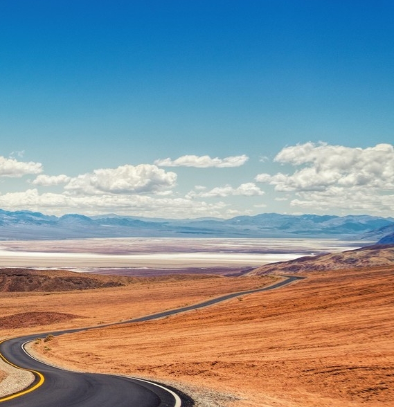 粉象生活推广营销