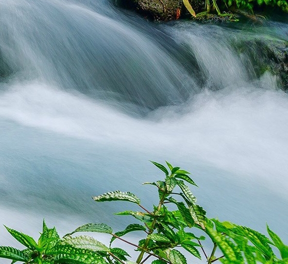 粉象生活邀请一个人有多少佣金