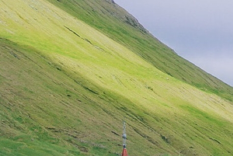 粉象生活赚钱教程