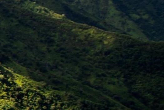 粉象生活快速推广的办法