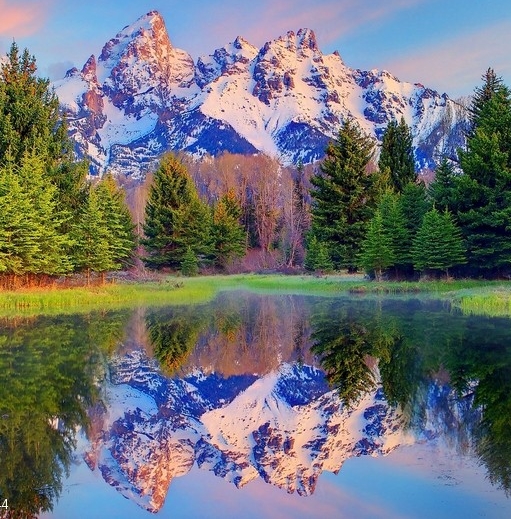 粉象生活有哪些推广方式