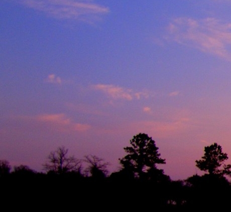 粉象生活是什么样的平台