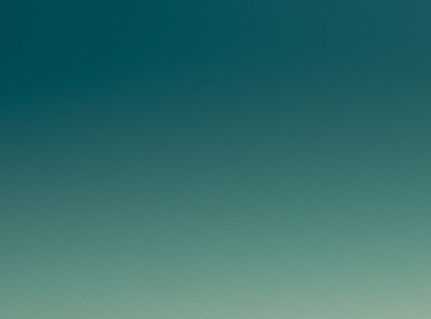 福建脱水蒜粉加盟