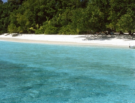 粉象生活是什么?