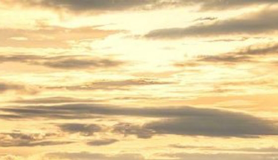 粉象生活如何做优惠券