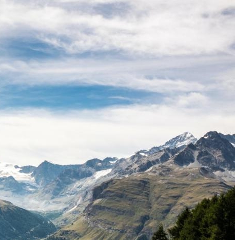 粉象生活官网首页