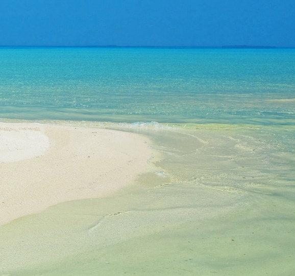 河南大脸的美妙生活收入