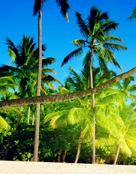 通过粉象生活购物