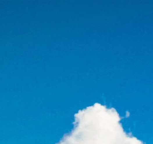 粉象生活怎么盈利