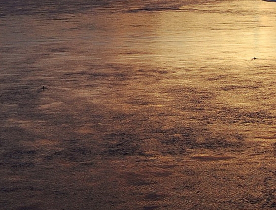 粉象生活下载app