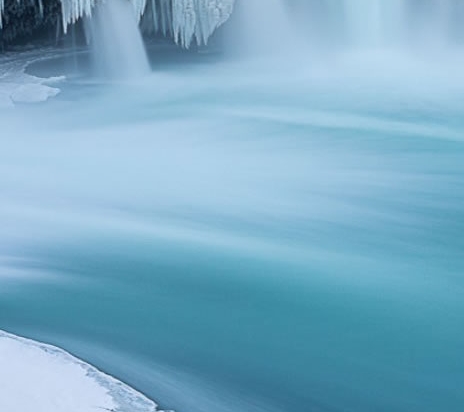 到底什么是粉象生活