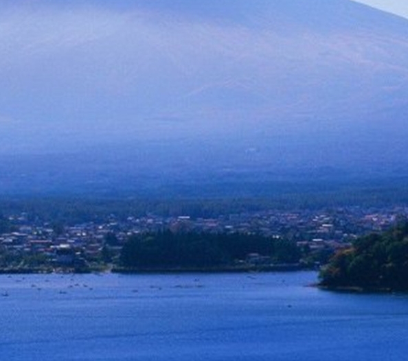 粉象生活为什么还有佣金