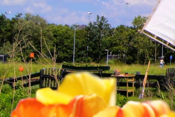 粉象生活值得入手吗