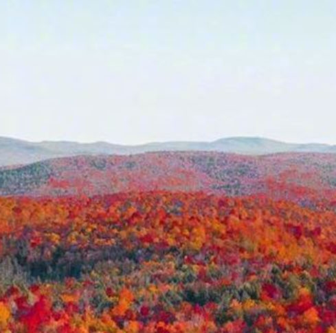 粉象生活到底靠谱吗