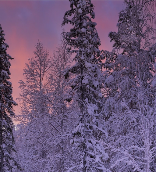 广安最低生活标准