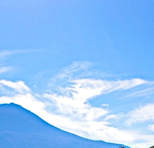 粉象生活推广用语