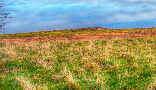 江苏创新粉象生活怎么样