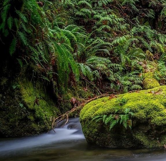 粉象生活和蜜源哪个更好