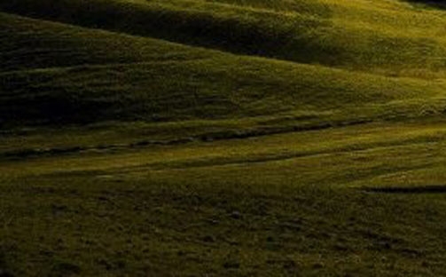 粉象生活下载app