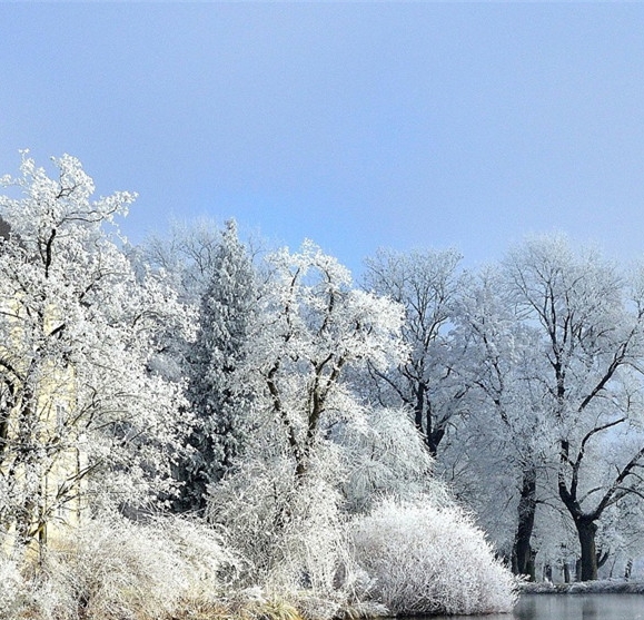 粉象生活怎么玩有奖励吗