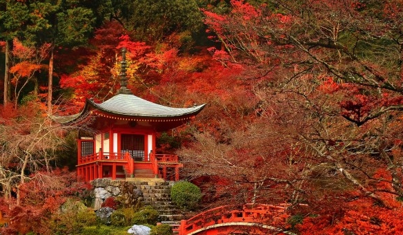 粉象生活背景介绍