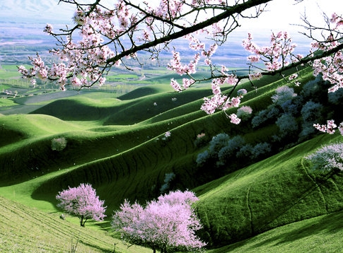 粉象生活一年能赚多少