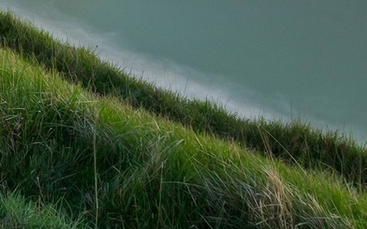 粉象生活上怎么用流量