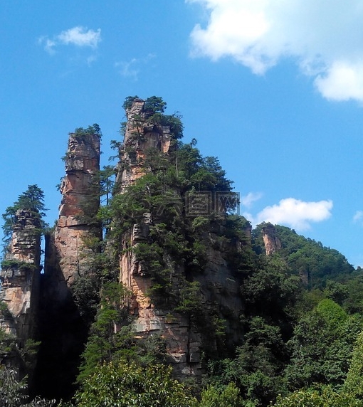 广东短视频运营涨粉