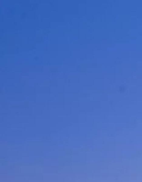 粉象生活能赚到钱吗