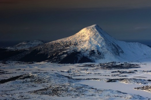 粉象生活提现到账图片