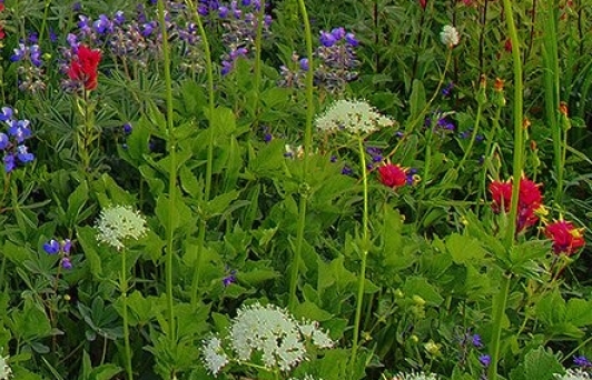 增加淘宝店铺粉丝