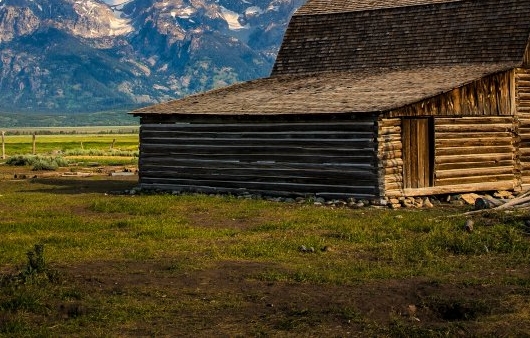 粉象生活能赚到钱吗