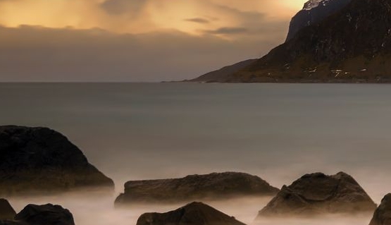 粉象生活最好的公司