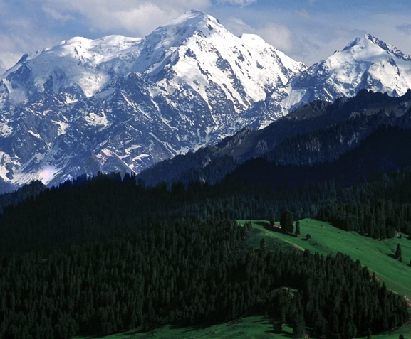 粉象生活邀请码