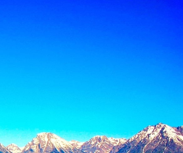 粉象生活邀请文章