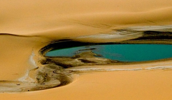 向日葵与粉象生活哪个好