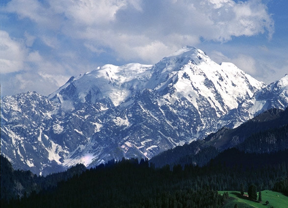 粉象生活代理多少