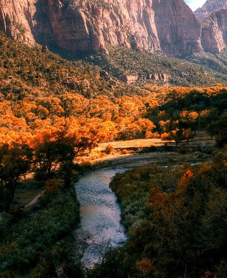 粉象生活怎么赚钱的