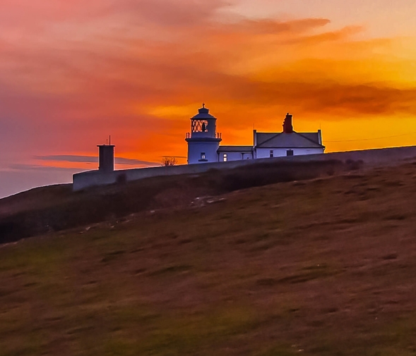 悦拜与粉象生活粉象生活