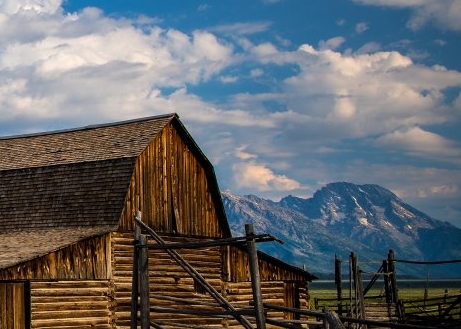 粉象生活下载app