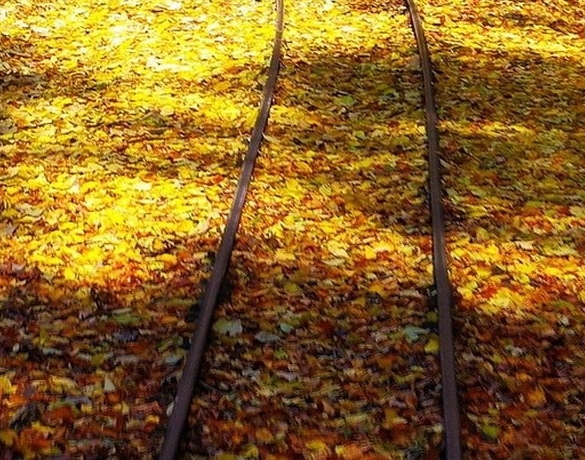 粉象生活能赚到钱吗