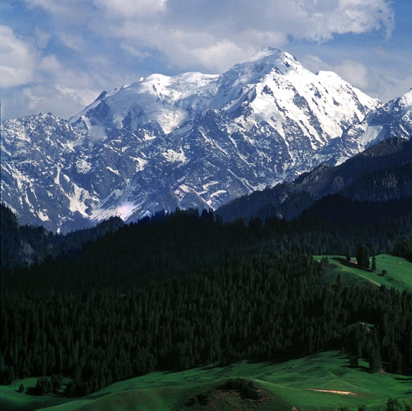 粉象生活的利润是多少