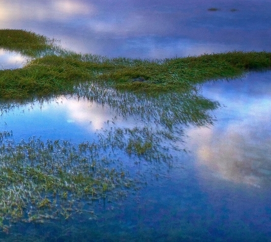 粉象生活怎么盈利