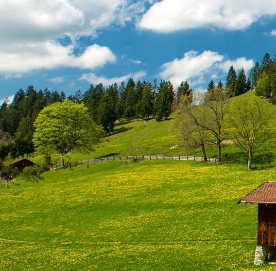 粉象生活看视频