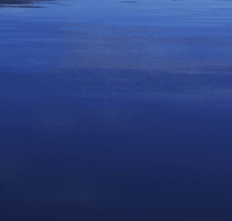 消费返利粉象生活